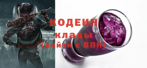 ECSTASY Богданович