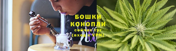 ECSTASY Богданович