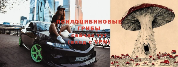 ECSTASY Богданович